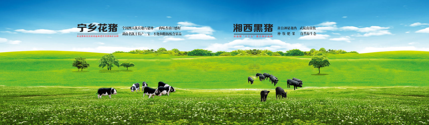 42923acm金牛版·(中国区)官方网站