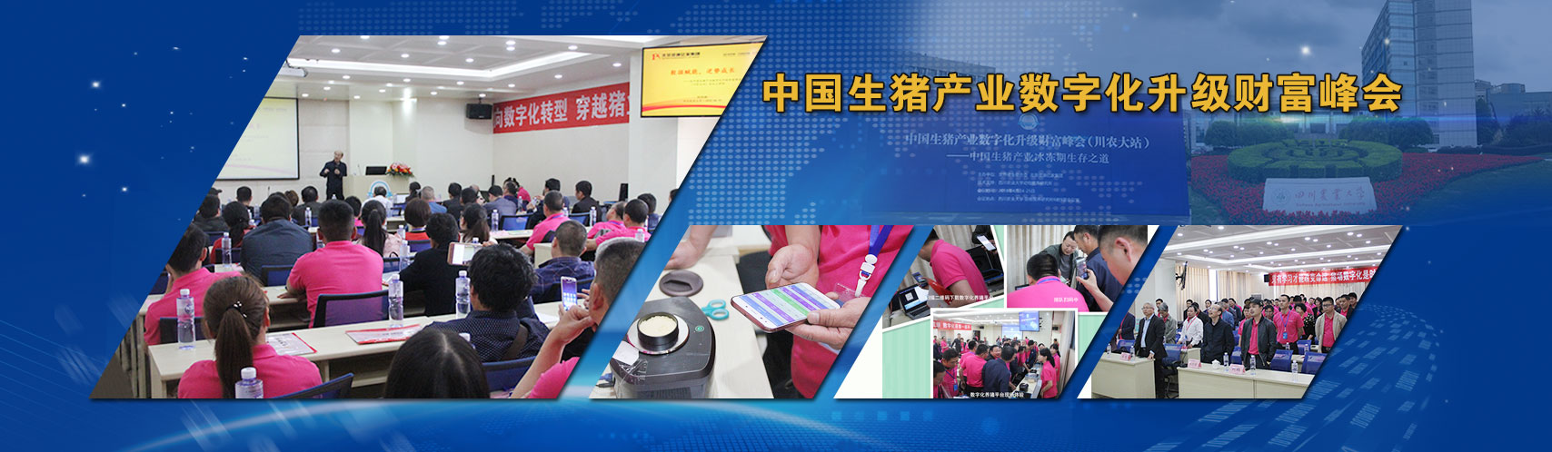 42923acm金牛版·(中国区)官方网站